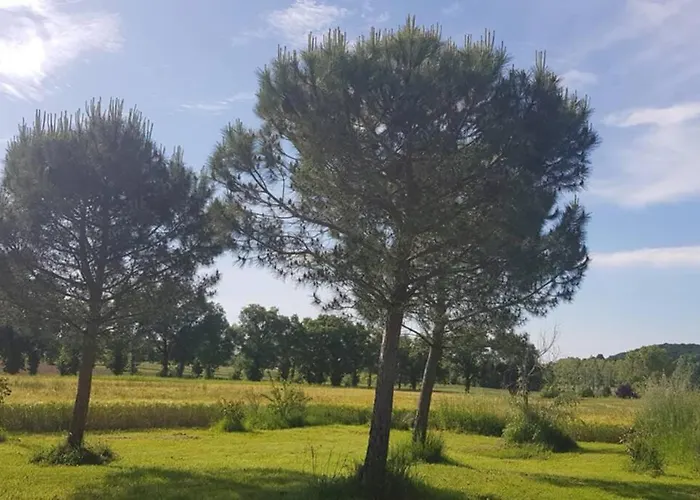 Lägenhet Individuel Rez De Jardin 3 A 5 Personnes Proche Albi Cadalen
