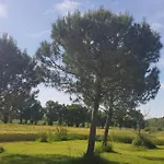 公寓 Individuel Rez De Jardin 3 A 5 Personnes Proche Albi Cadalen