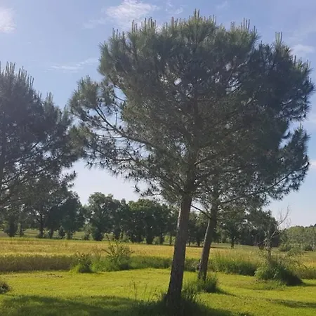 Lejlighed Individuel Rez De Jardin 3 A 5 Personnes Proche Albi Cadalen